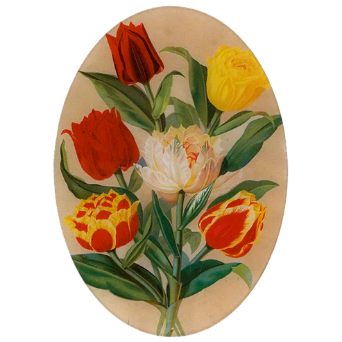 JOHN DERIAN 10 x 14" Oval - Tulip Bouquet
