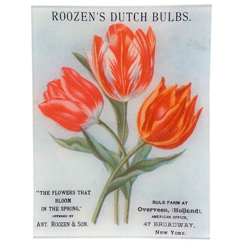 JOHN DERIAN 8 x 10.5" Rect. Tray - Roozen's