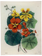 JOHN DERIAN 8 x 10.5" Rect. Tray - Nasturtium
