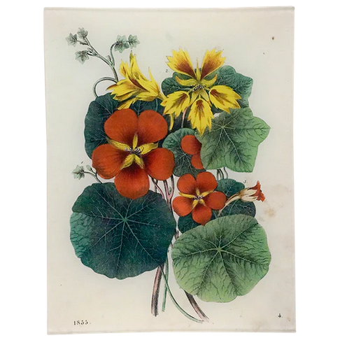 JOHN DERIAN 8 x 10.5" Rect. Tray - Nasturtium