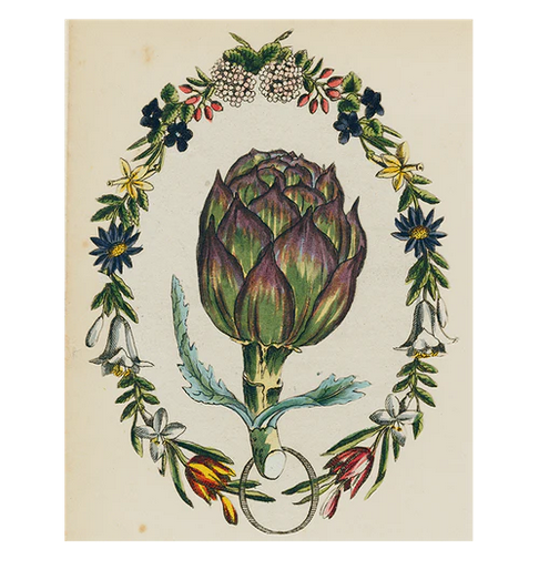 JOHN DERIAN 11 x 14" Rect. Tray - Artichoke (p 135)