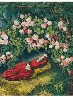 JOHN DERIAN 11 x 14" Rect. Tray - Sleeping Beauty [Right] (pg 100)