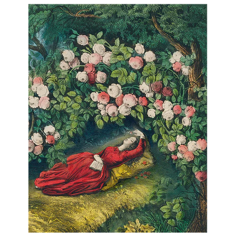 JOHN DERIAN 11 x 14" Rect. Tray - Sleeping Beauty [Right] (pg 100)