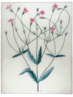 JOHN DERIAN 17 x 22" Rect. Tray - Khantia