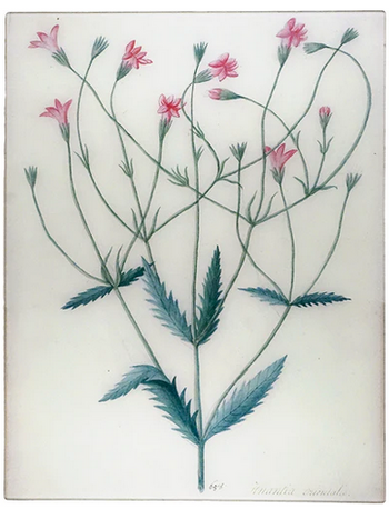 JOHN DERIAN 17 x 22" Rect. Tray - Khantia