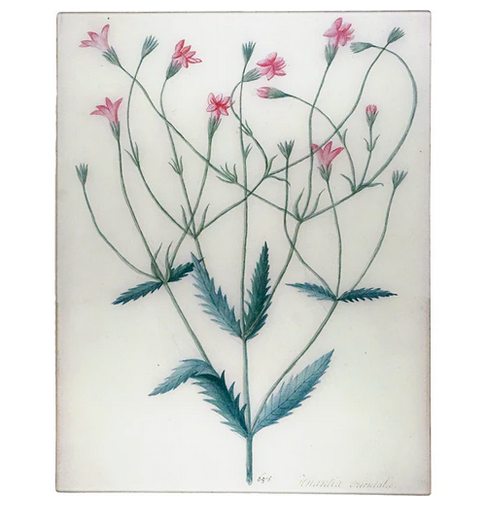 JOHN DERIAN 17 x 22" Rect. Tray - Khantia