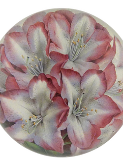JOHN DERIAN Dome Paperweight - Princess of Wales Rhododendron