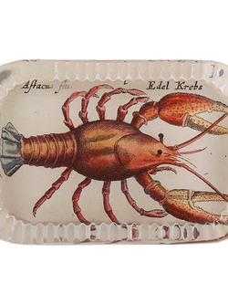 JOHN DERIAN Dotted Edge Rect. Paperweight - Cray Fish