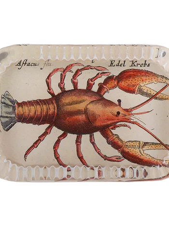 JOHN DERIAN Dotted Edge Rect. Paperweight - Cray Fish