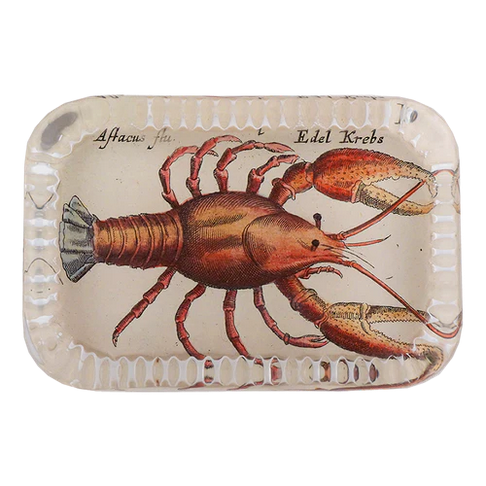 JOHN DERIAN Dotted Edge Rect. Paperweight - Cray Fish