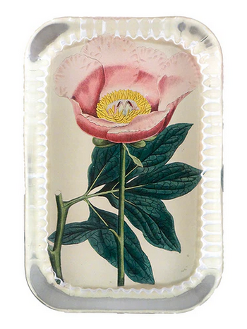 JOHN DERIAN Dotted Edge Rect. Paperweight - Picadilly