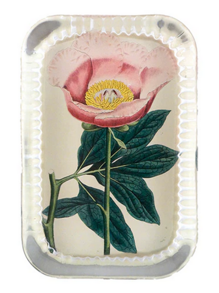 JOHN DERIAN Dotted Edge Rect. Paperweight - Picadilly