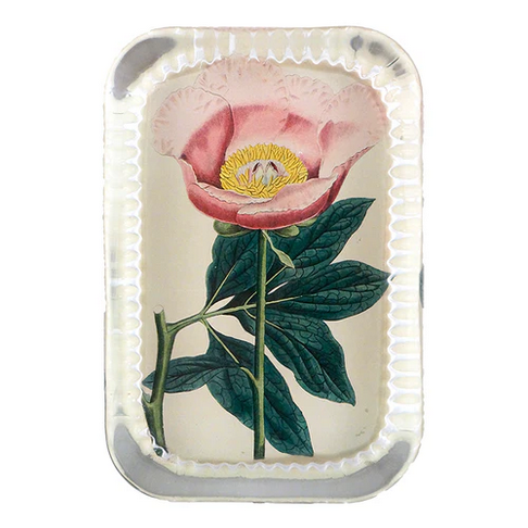 JOHN DERIAN Dotted Edge Rect. Paperweight - Picadilly