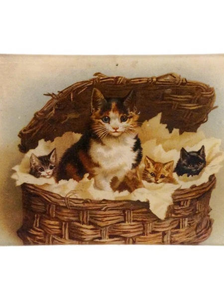 JOHN DERIAN 4.5 x 6.5" Mini Tray - Cat Basket