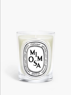 DIPTYQUE Mimosa - Classic Candle