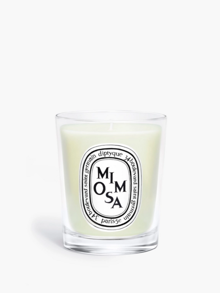 DIPTYQUE Mimosa - Small Candle