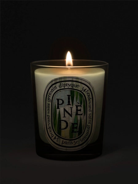 DIPTYQUE Pinède (Pine Grove) Classic Candle - Limited Edition