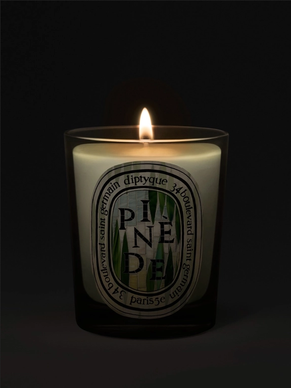 DIPTYQUE Pinède (Pine Grove) Classic Candle - Limited Edition