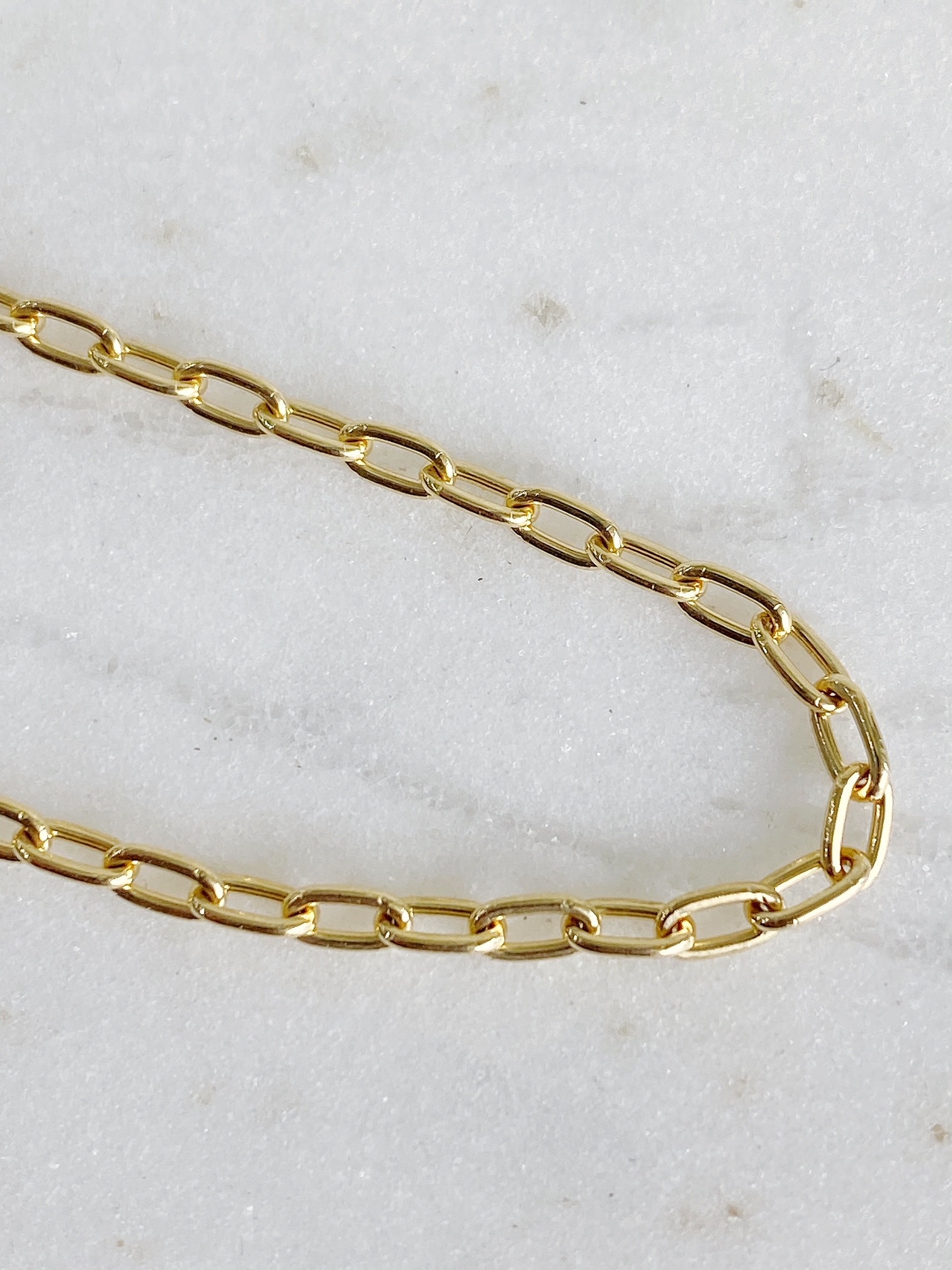 ERICA MOLINARI 14K Heavy Slim Chain
