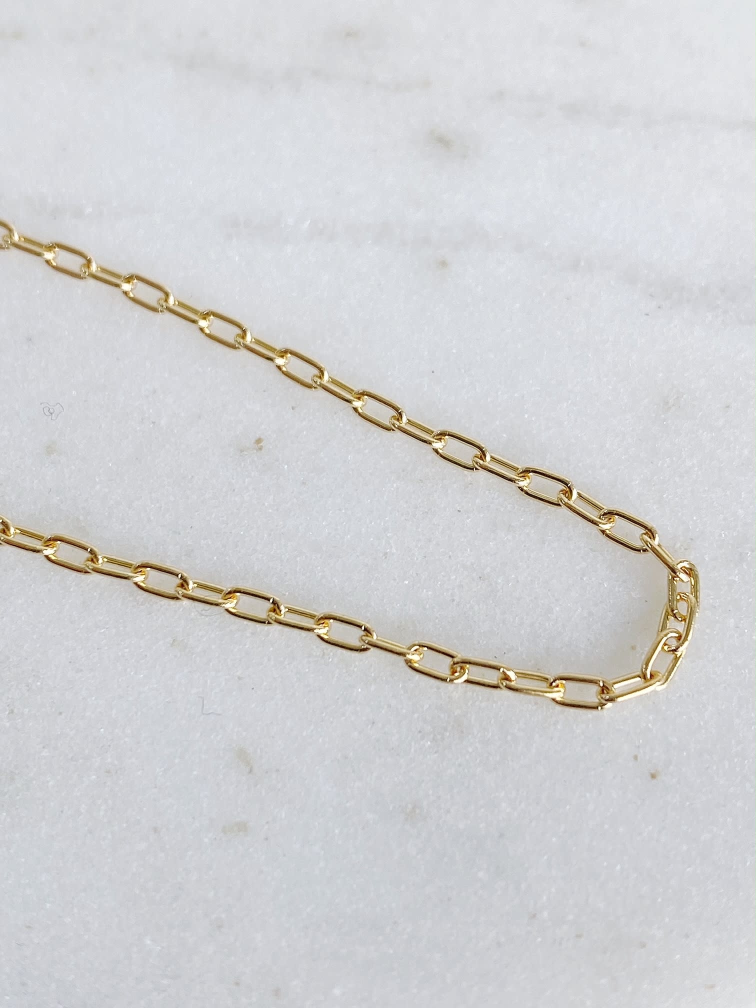ERICA MOLINARI 14K Light Slim Chain