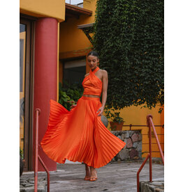 Hutch Max Skirt