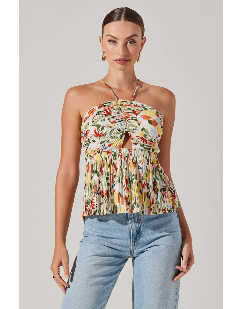ASTR Tamaryn Halter Tie Neck Top