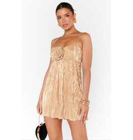 Show Me Your Mumu GNO Mini Dress