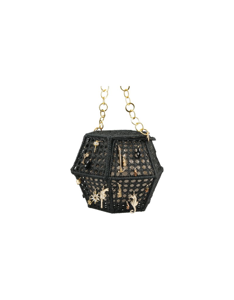 Mercedes Salazar Night Handbag