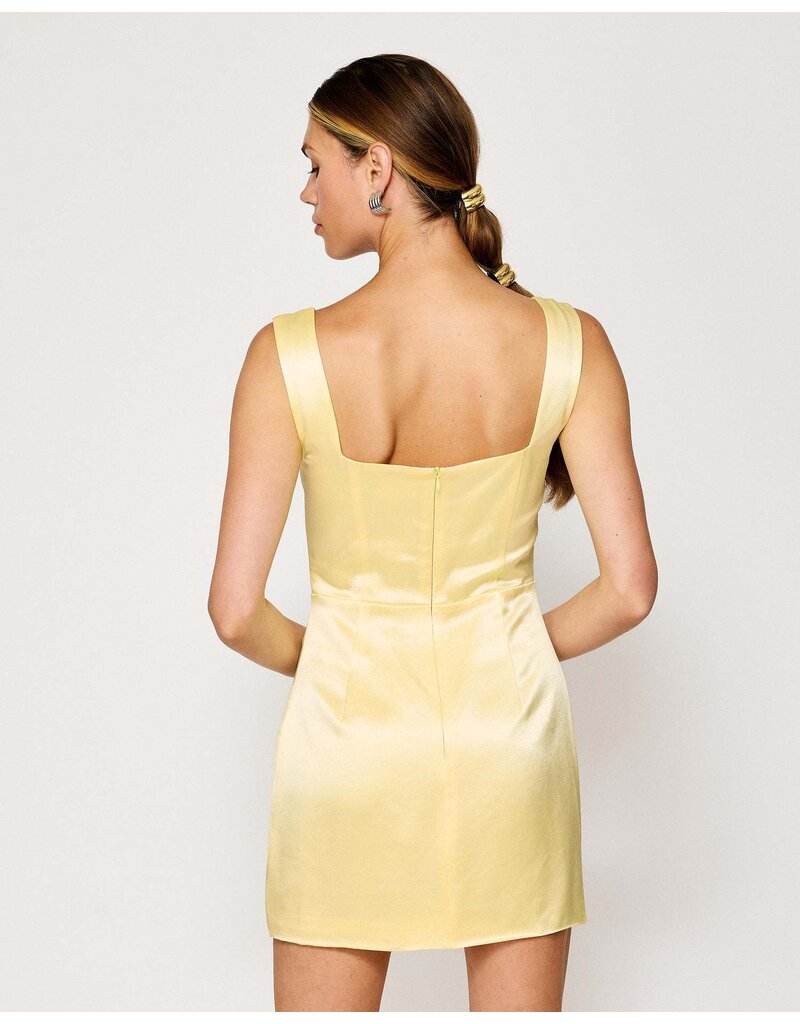 Line and Dot Limone Mini Dress