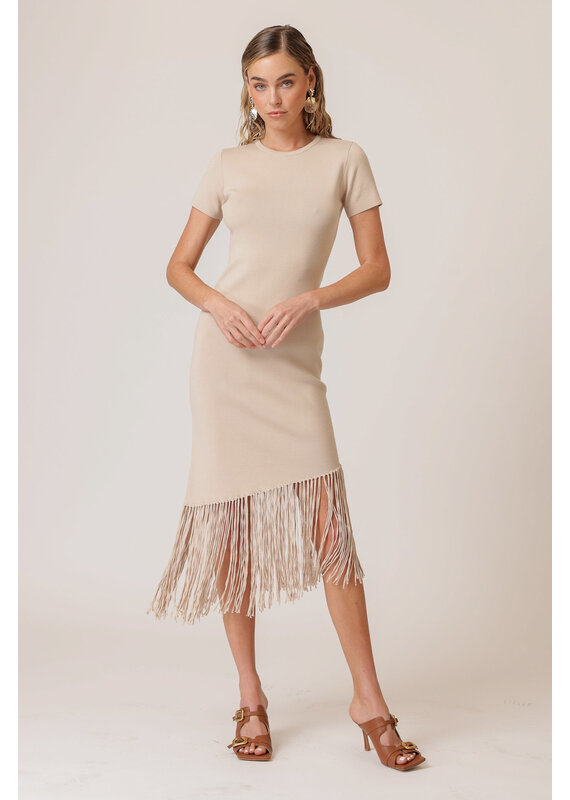 Line and Dot Chrysta Asymmetrical Fringe Dress