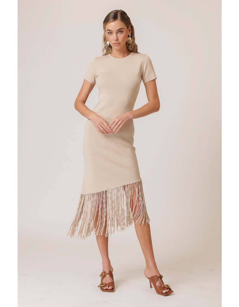 Line and Dot Chrysta Asymmetrical Fringe Dress