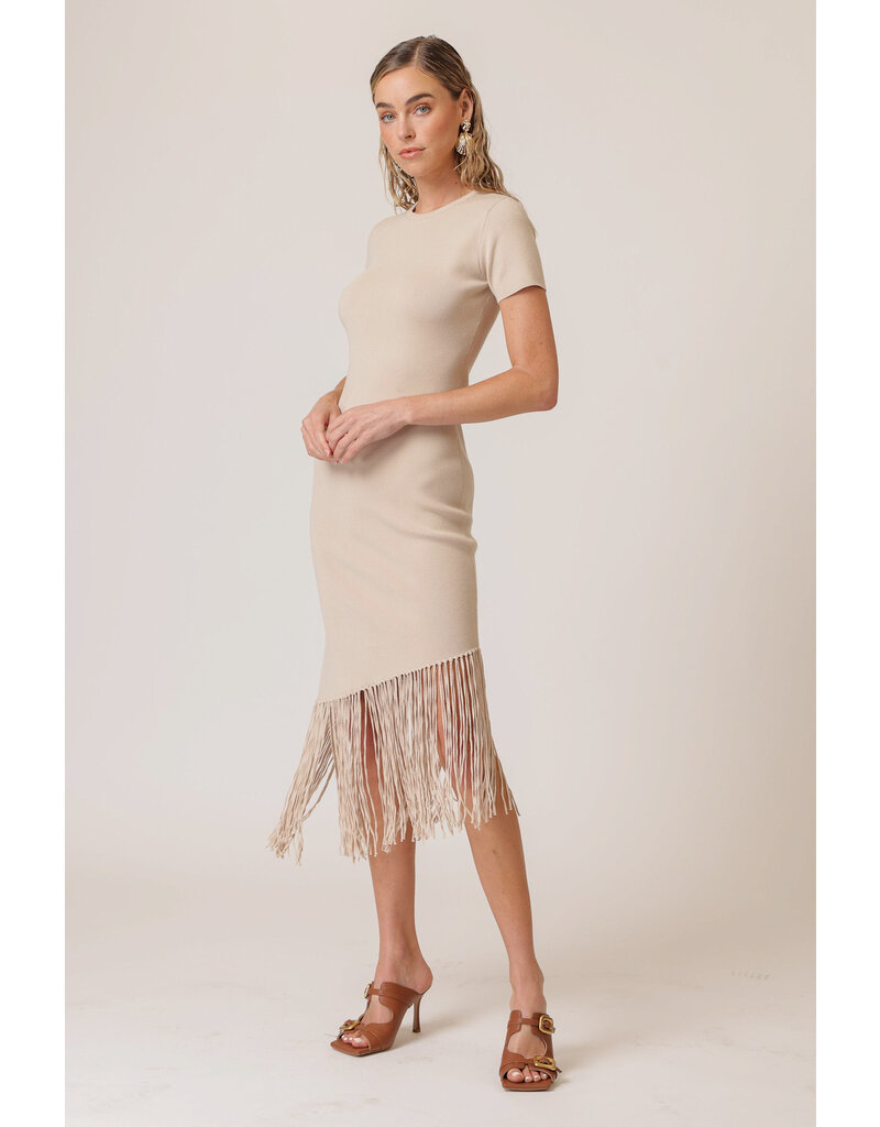 Line and Dot Chrysta Asymmetrical Fringe Dress