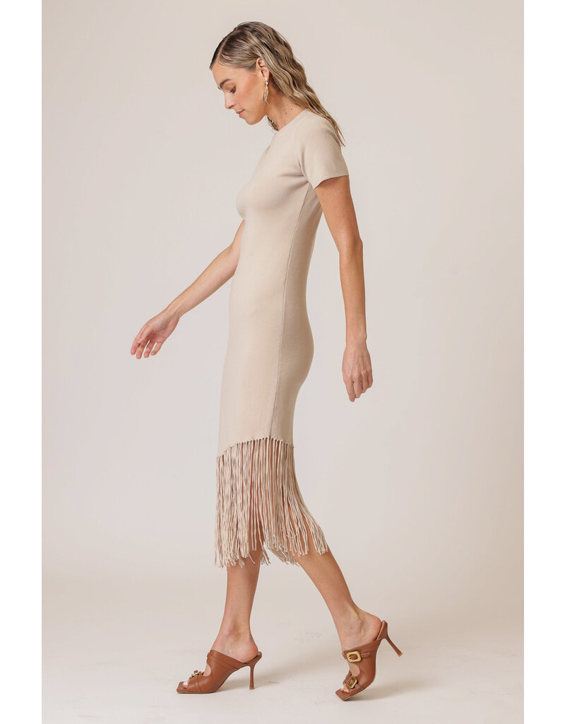Line and Dot Chrysta Asymmetrical Fringe Dress