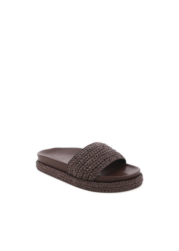 Billini Quartilla Slides