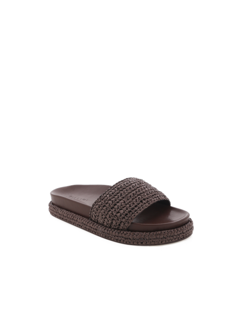 Billini Quartilla Slides