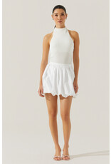 ASTR Gwyneth Textured Halter Neck Top