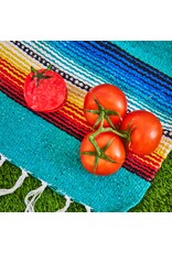 Tomato Hair Claw Clip