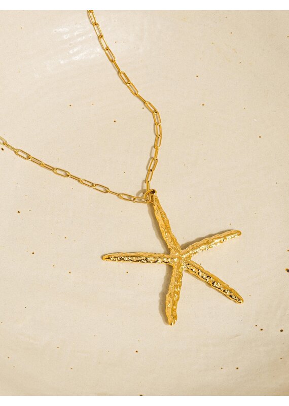 Flanerie Suki 18K Gold Non-Tarnish Star Necklace