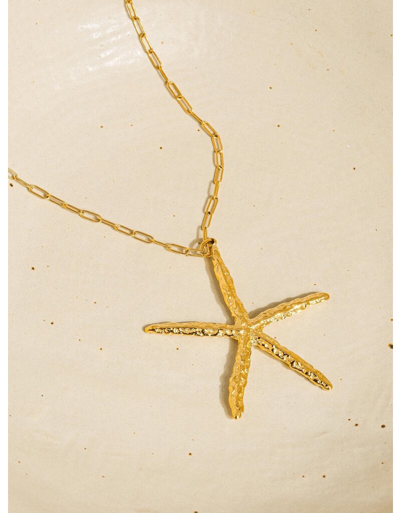 Flanerie Suki 18K Gold Non-Tarnish Star Necklace