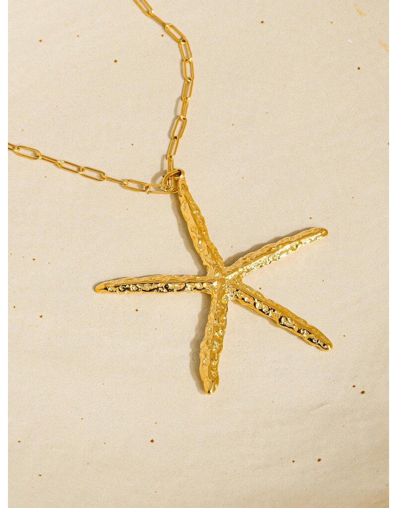 Flanerie Suki 18K Gold Non-Tarnish Star Necklace