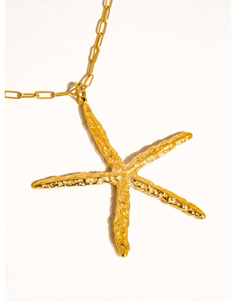 Flanerie Suki 18K Gold Non-Tarnish Star Necklace