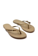 Solei Sea Sandals Indie Mini Bow Sandal