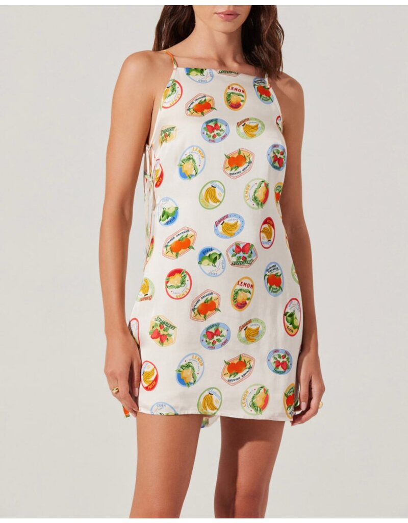 ASTR Samira Dress