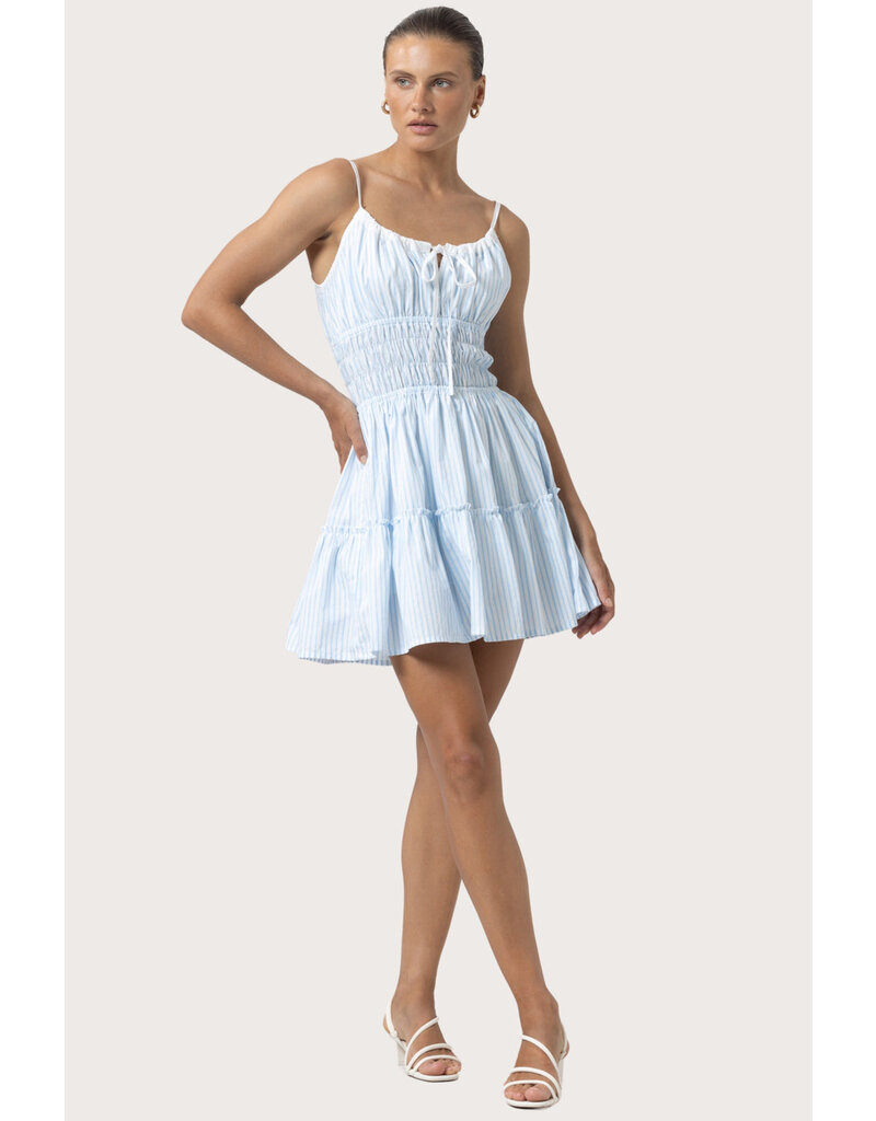 Lusana Rosa Poplin Dress
