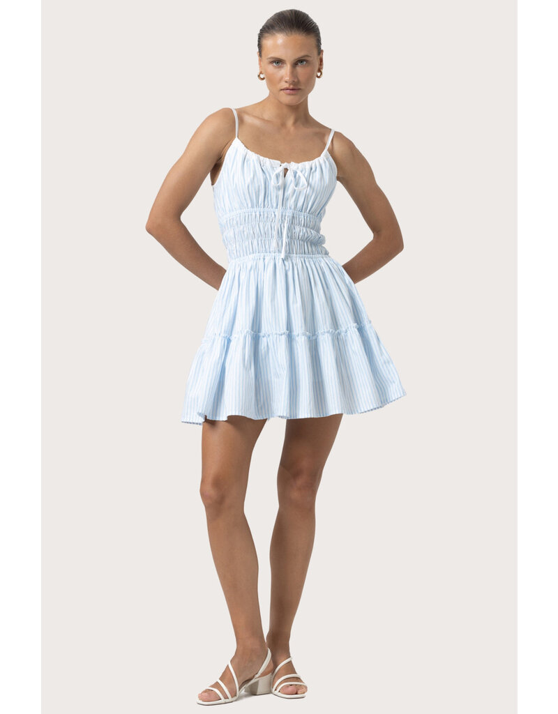 Lusana Rosa Poplin Dress