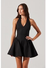 ASTR Meana V-Neck Halter Mini Dress