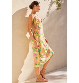 Aquari Celeste Dress