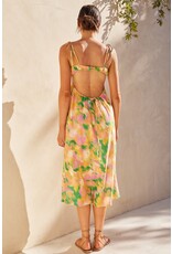 Aquari Celeste Dress