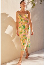 Aquari Celeste Dress