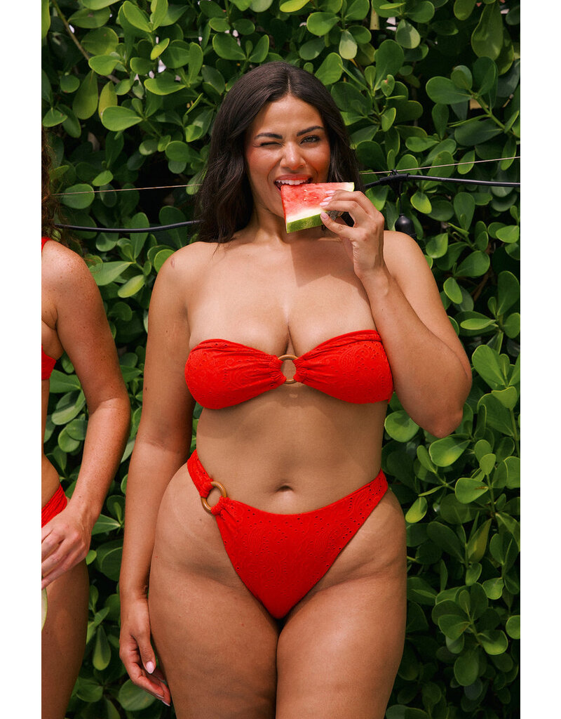 Dippin Daisys Dive In Cheeky Bikini Bottom